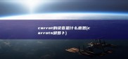 carrot的读音是什么意思 (carrots胡萝卜)