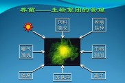 生态养殖形式有哪些? (生态养殖形式有哪些)