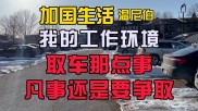 揭秘日常生活中的除甲醛误区与科学方法 洋葱能否有效去除甲醛 家居净化新招数 (揭秘日常生活背后不可思议之处)