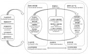 的营养价值和口感差异详解 包菜 甘蓝 与 探究餐桌宝贝 (的营养价值和禁忌)