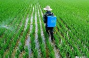 稻田怎样除草-早稻种子消毒技巧 (稻田怎样除草最好)