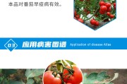 80%代森锰锌防治作物灰霉病成果佳-如何应用植物成长调理剂控制造物旺长 (80%代森锰锌稀释倍数)