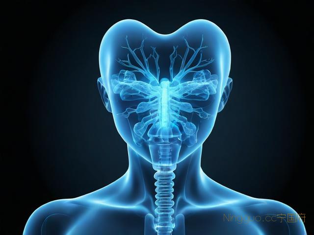 数字种植牙新技术,数字化牙种植技术