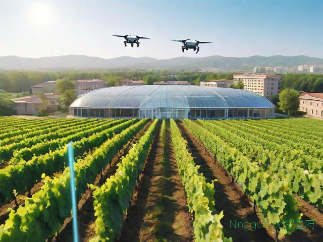 科技苑葡萄种植技术,科技苑葡萄种植技术视频