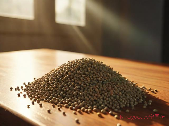 返魂草种植技术,返魂草种子多少钱一斤