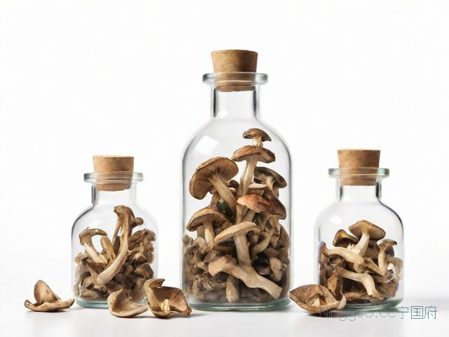 干巴菌种植种植技术,干巴菌菌种