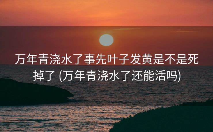 万年青浇水了事先叶子发黄是不是死掉了 (万年青浇水了还能活吗)