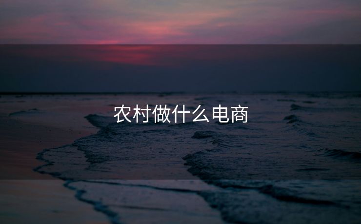 农村做什么电商