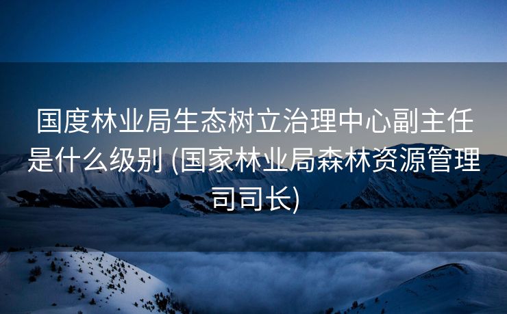 国度林业局生态树立治理中心副主任是什么级别 (国家林业局森林资源管理司司长)