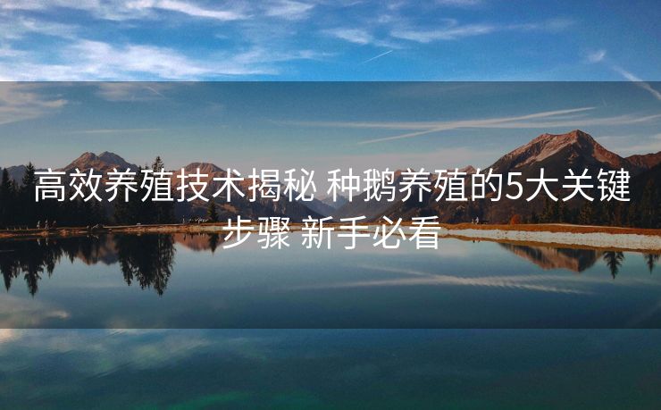 高效养殖技术揭秘 种鹅养殖的5大关键步骤 新手必看