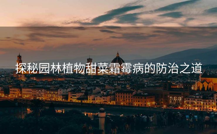 探秘园林植物甜菜霜霉病的防治之道