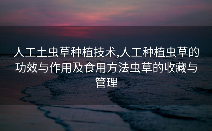 人工土虫草种植技术,人工种植虫草的功效与作用及食用方法虫草的收藏与管理
