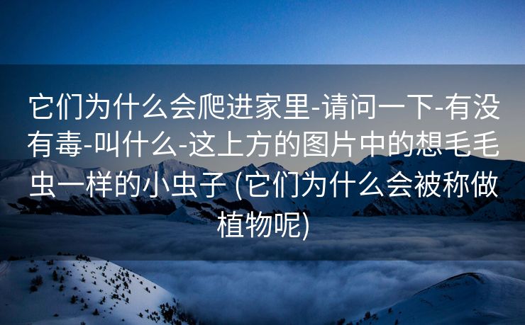它们为什么会爬进家里-请问一下-有没有毒-叫什么-这上方的图片中的想毛毛虫一样的小虫子 (它们为什么会被称做植物呢)