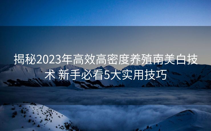 揭秘2023年高效高密度养殖南美白技术 新手必看5大实用技巧