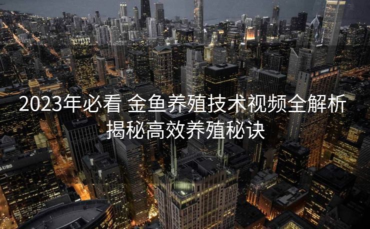 2023年必看 金鱼养殖技术视频全解析 揭秘高效养殖秘诀
