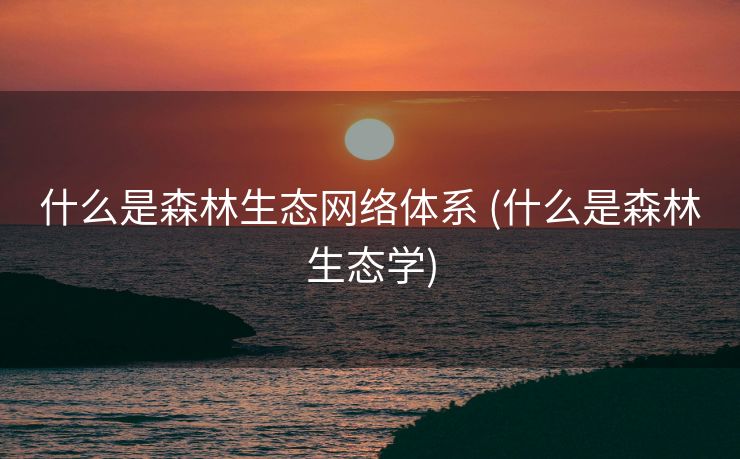 什么是森林生态网络体系 (什么是森林生态学)