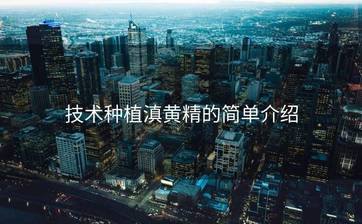 技术种植滇黄精的简单介绍