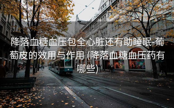 降落血糖血压包全心脏还有助睡眠-葡萄皮的效用与作用 (降落血糖血压药有哪些)