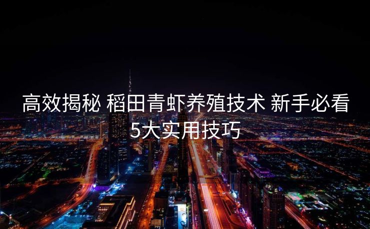 高效揭秘 稻田青虾养殖技术 新手必看5大实用技巧