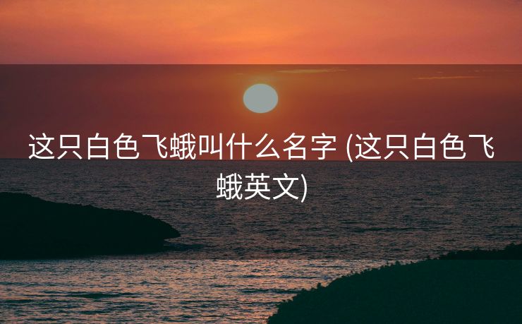 这只白色飞蛾叫什么名字 (这只白色飞蛾英文)