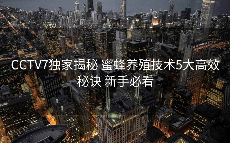 CCTV7独家揭秘 蜜蜂养殖技术5大高效秘诀 新手必看