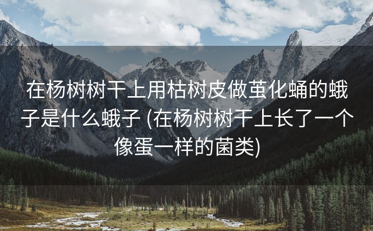 在杨树树干上用枯树皮做茧化蛹的蛾子是什么蛾子 (在杨树树干上长了一个像蛋一样的菌类)