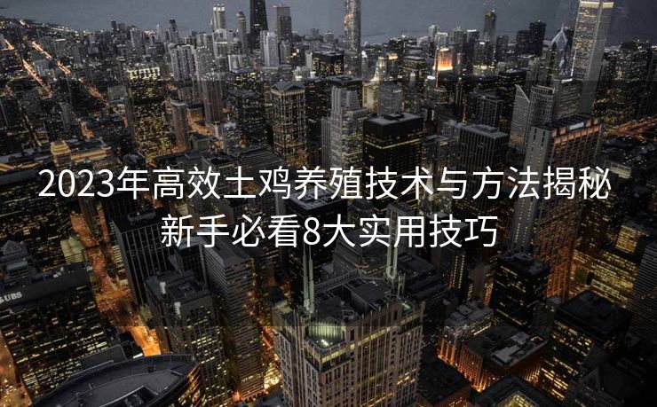 2023年高效土鸡养殖技术与方法揭秘 新手必看8大实用技巧