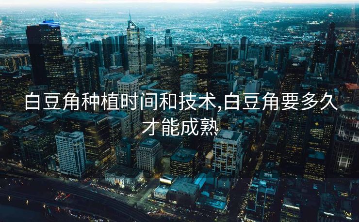 白豆角种植时间和技术,白豆角要多久才能成熟