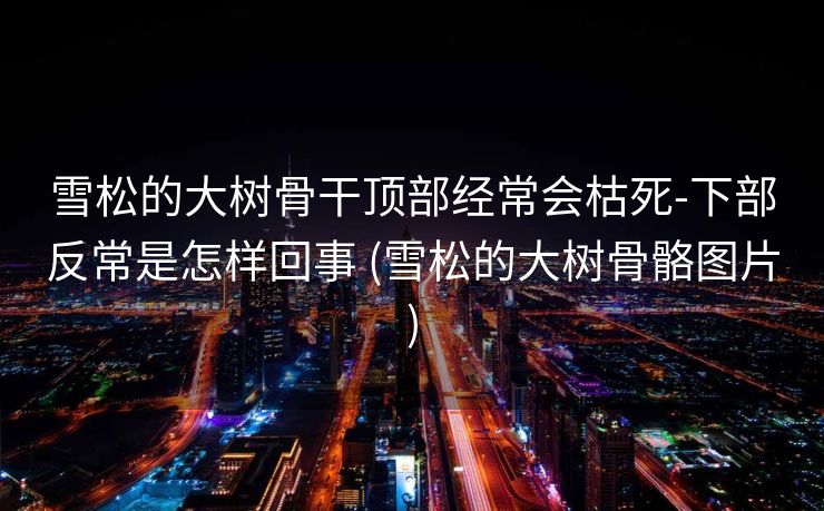 雪松的大树骨干顶部经常会枯死-下部反常是怎样回事 (雪松的大树骨骼图片)