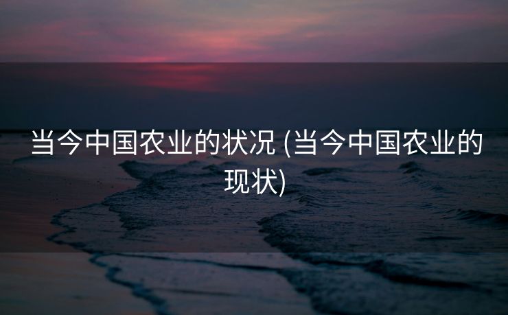 当今中国农业的状况 (当今中国农业的现状)