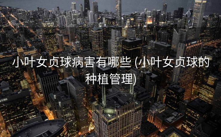 小叶女贞球病害有哪些 (小叶女贞球的种植管理)