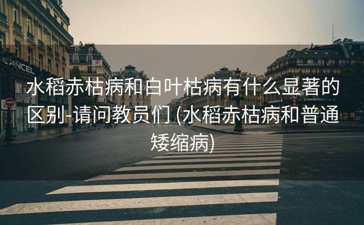 水稻赤枯病和白叶枯病有什么显著的区别-请问教员们 (水稻赤枯病和普通矮缩病)