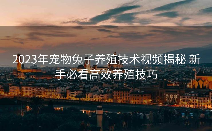 2023年宠物兔子养殖技术视频揭秘 新手必看高效养殖技巧 2023年宠物兔子养殖技术视频揭秘 新手必看高效养殖技巧