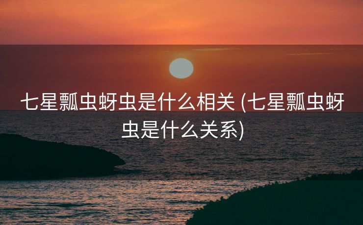 七星瓢虫蚜虫是什么相关 (七星瓢虫蚜虫是什么关系)
