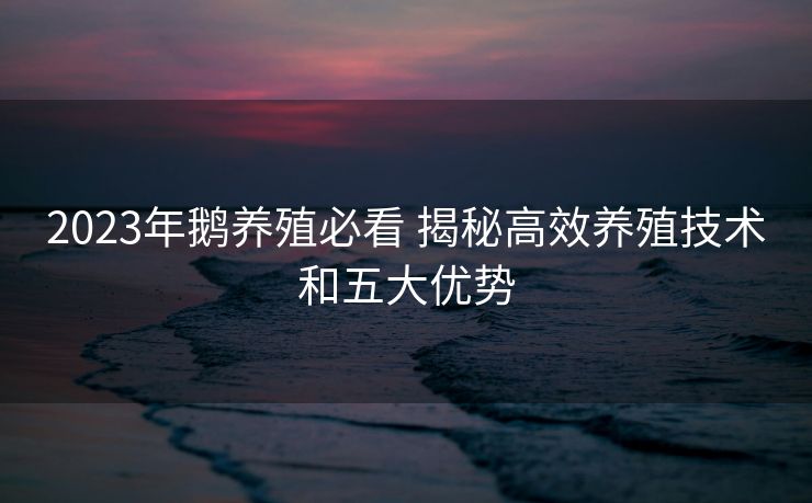 2023年鹅养殖必看 揭秘高效养殖技术和五大优势