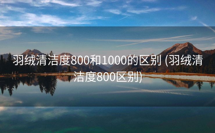 羽绒清洁度800和1000的区别 (羽绒清洁度800区别)