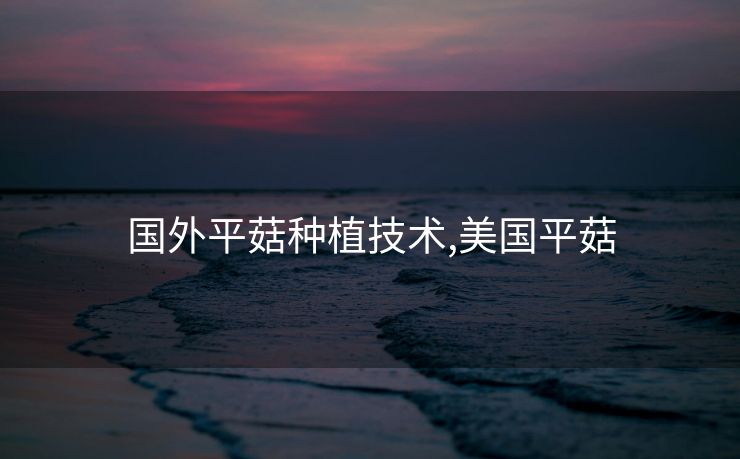 国外平菇种植技术,美国平菇