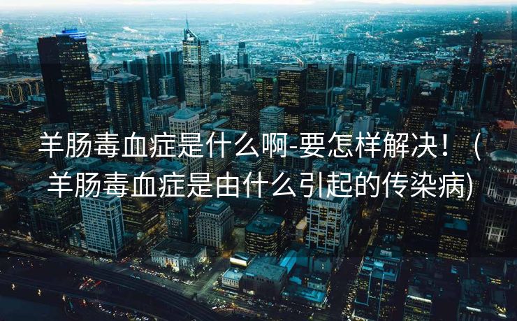 羊肠毒血症是什么啊-要怎样解决！ (羊肠毒血症是由什么引起的传染病)