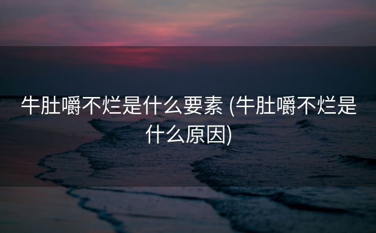 牛肚嚼不烂是什么要素 (牛肚嚼不烂是什么原因)