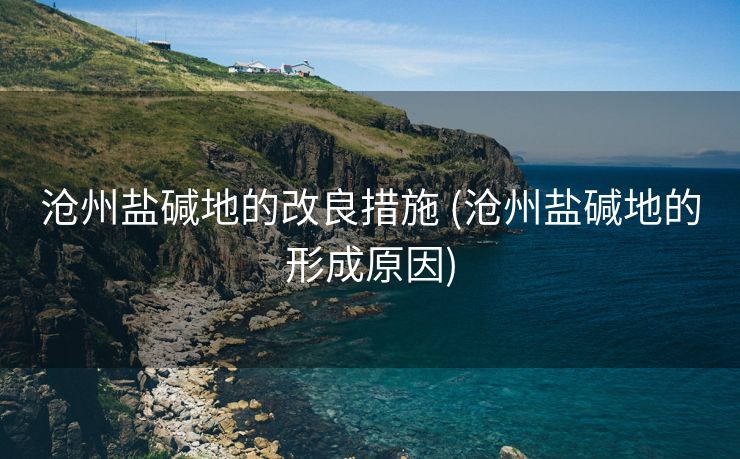 沧州盐碱地的改良措施 (沧州盐碱地的形成原因)