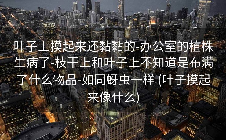 叶子上摸起来还黏黏的-办公室的植株生病了-枝干上和叶子上不知道是布满了什么物品-如同蚜虫一样 (叶子摸起来像什么)
