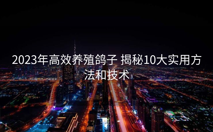 2023年高效养殖鸽子 揭秘10大实用方法和技术