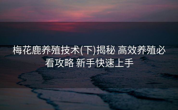 梅花鹿养殖技术(下)揭秘 高效养殖必看攻略 新手快速上手