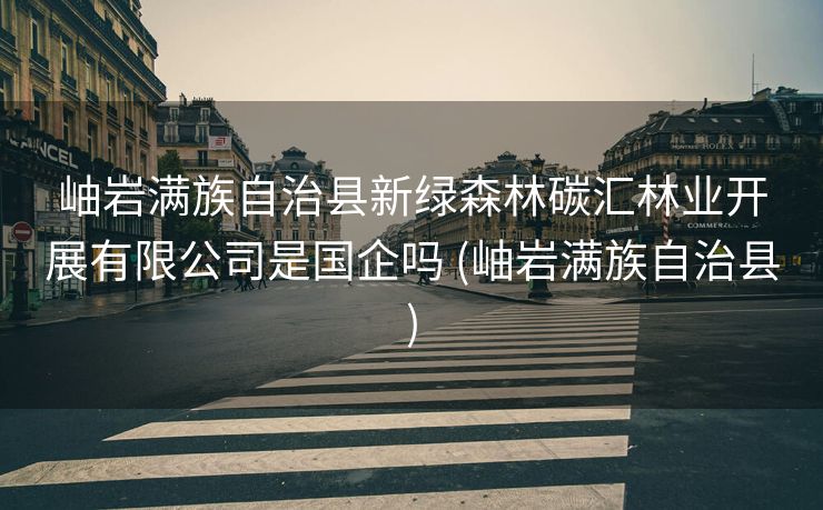 岫岩满族自治县新绿森林碳汇林业开展有限公司是国企吗 (岫岩满族自治县)
