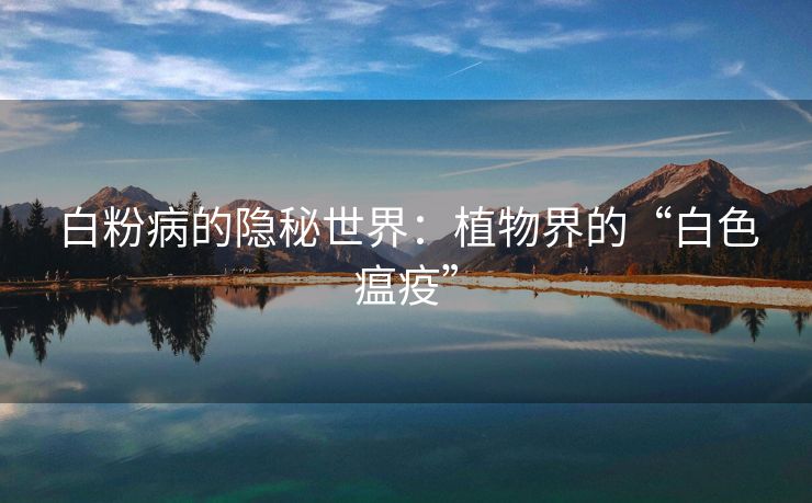 白粉病的隐秘世界：植物界的“白色瘟疫”