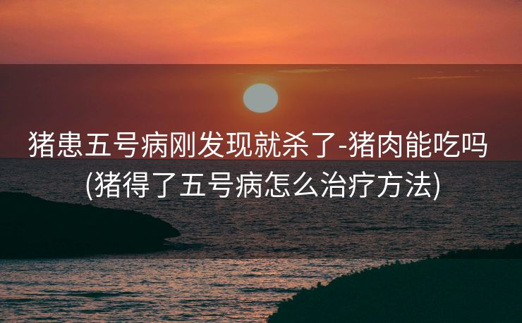 猪患五号病刚发现就杀了-猪肉能吃吗 (猪得了五号病怎么治疗方法)