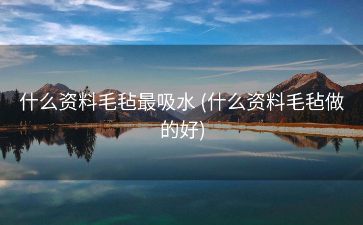 什么资料毛毡最吸水 (什么资料毛毡做的好)