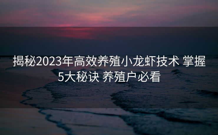 揭秘2023年高效养殖小龙虾技术 掌握5大秘诀 养殖户必看