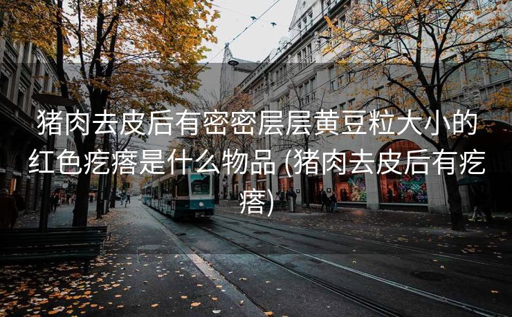 猪肉去皮后有密密层层黄豆粒大小的红色疙瘩是什么物品 (猪肉去皮后有疙瘩)