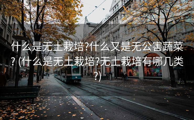 什么是无土栽培?什么又是无公害蔬菜? (什么是无土栽培?无土栽培有哪几类?)
